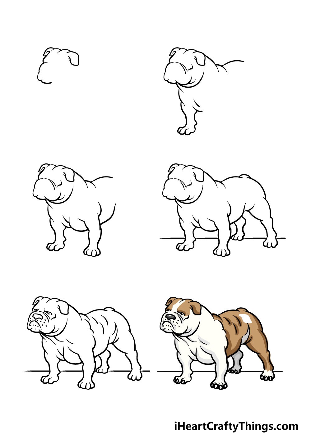 Bulldog Drawing Ideas