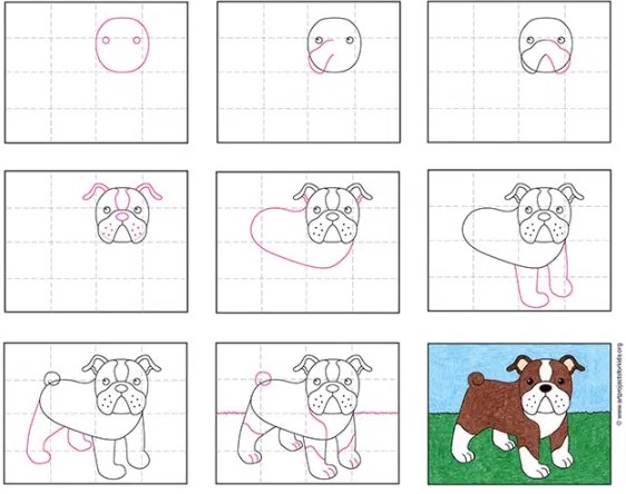 Bulldog Ideas 6 Drawing Ideas