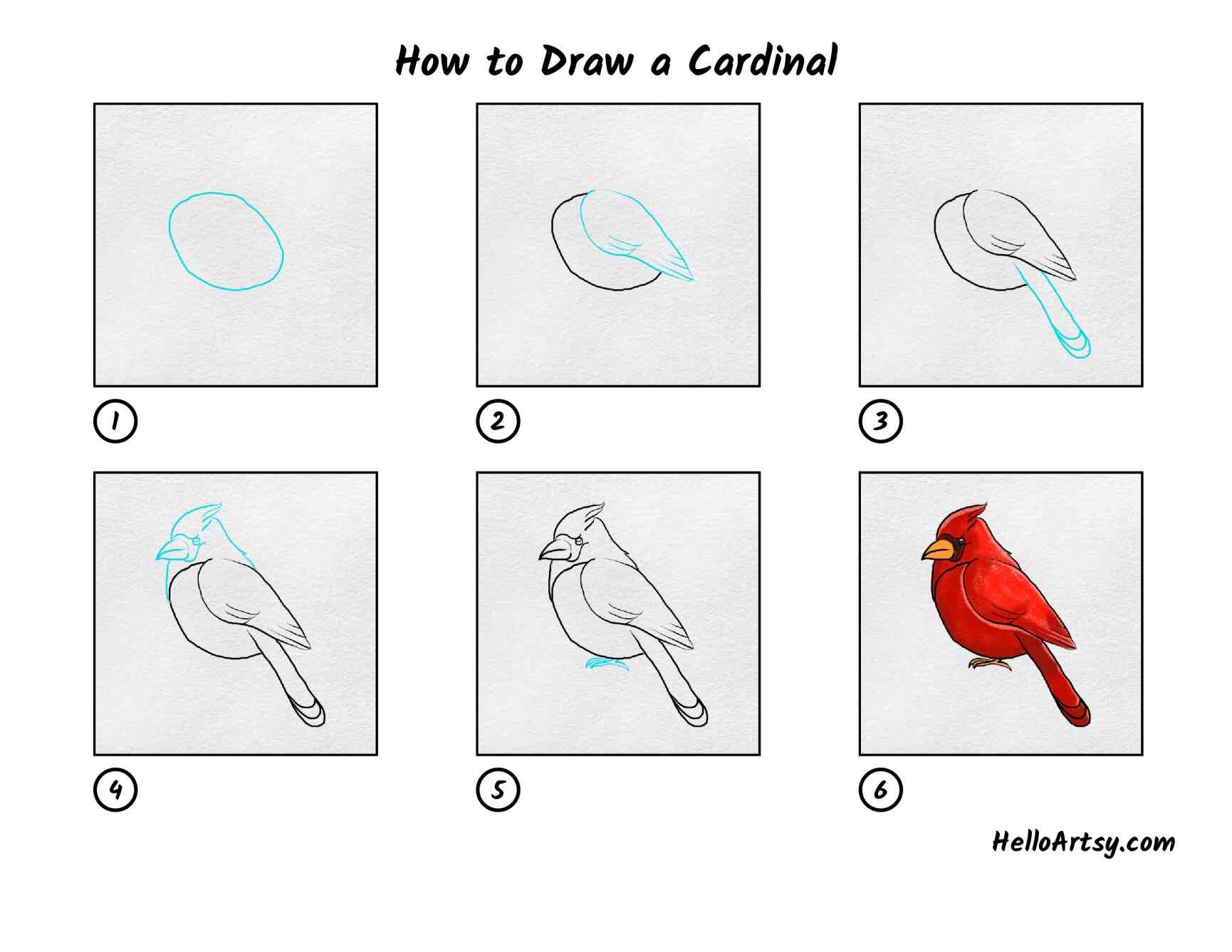 Cardinal Idea 12 Drawing Ideas