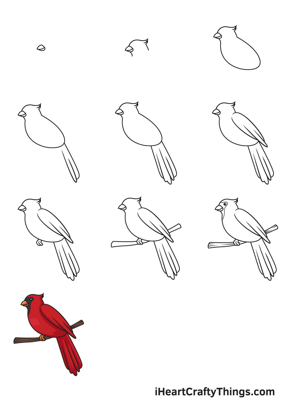How to draw Cardinal Idea 2