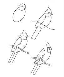 How to draw Cardinal Idea 6