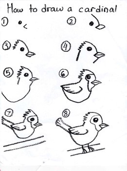 How to draw Cardinal Idea 8