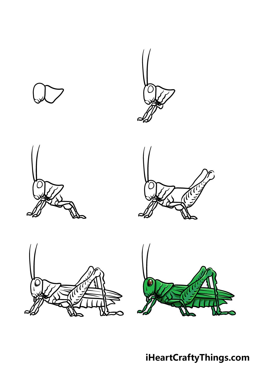 Grasshopper idea 3 Drawing Ideas