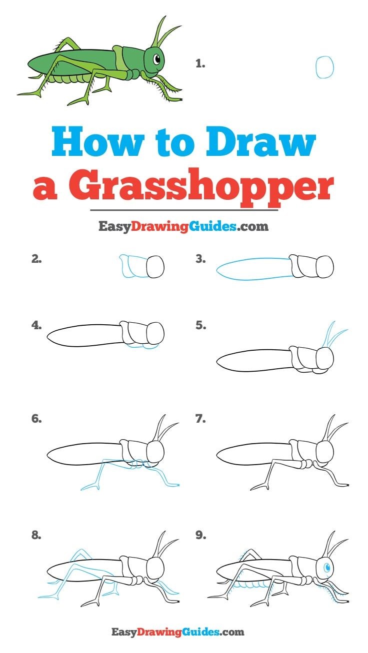 Grasshopper idea 4 Drawing Ideas