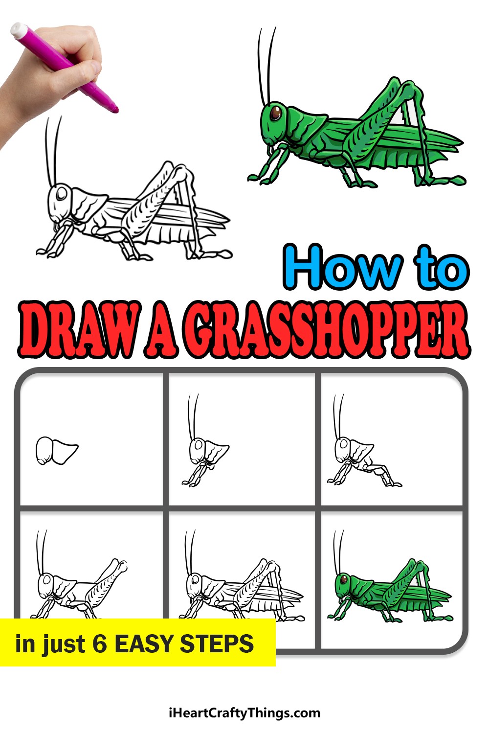 Grasshopper idea 5 Drawing Ideas