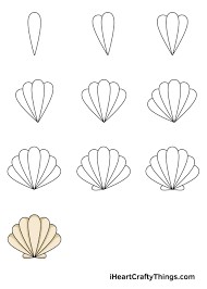 Seashell Drawing Ideas
