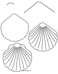 How to draw Seashell Ideas 2