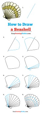 How to draw Seashell Ideas 5