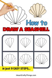Seashell Ideas 8 Drawing Ideas