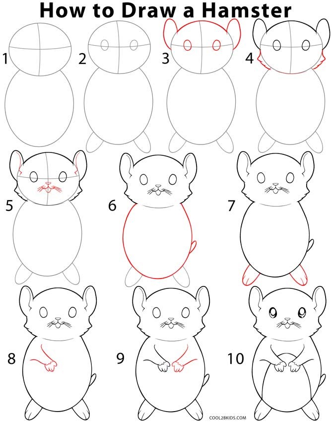 Hamsters idea 6 Drawing Ideas