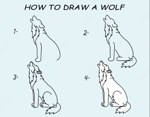 How to draw Wolf idea 10