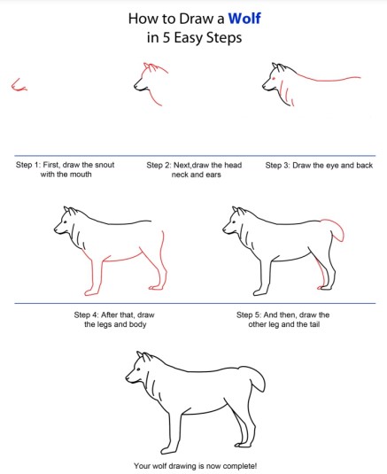 How to draw Wolf idea 9