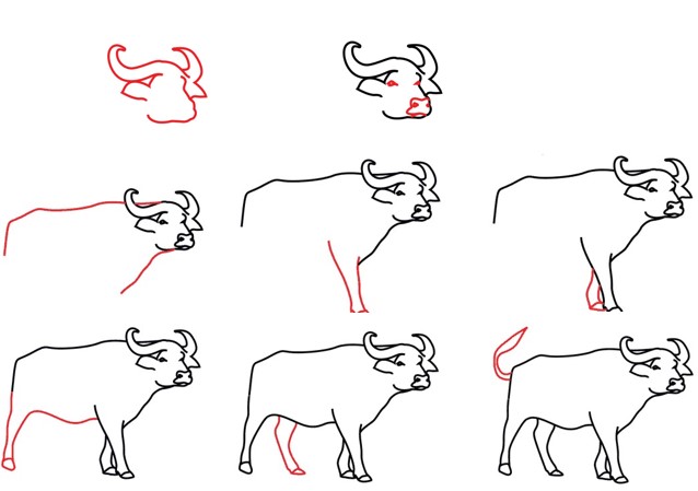 Asian buffalo 2 Drawing Ideas
