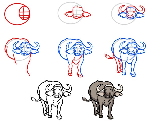 How to draw Asian water buffalo 2