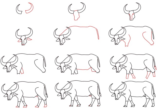 How to draw Asian water buffalo 5