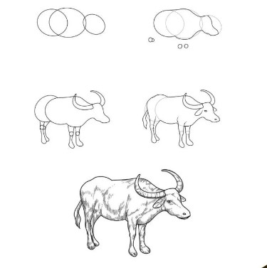 How to draw Asian water buffalo
