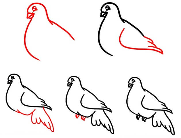 Baby dove Drawing Ideas