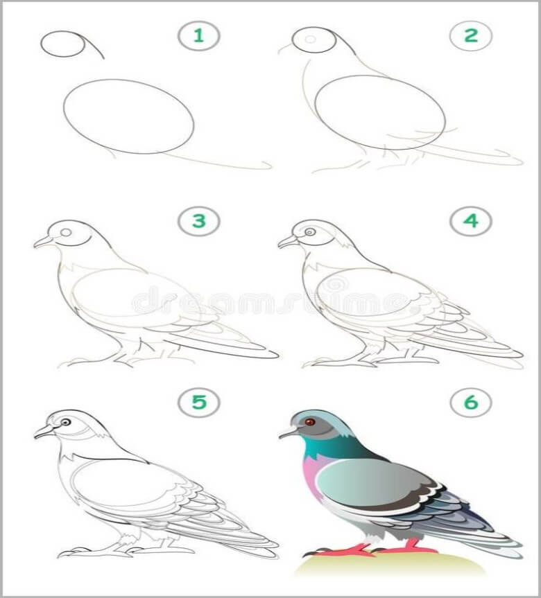 Beautiful Dove Drawing Ideas