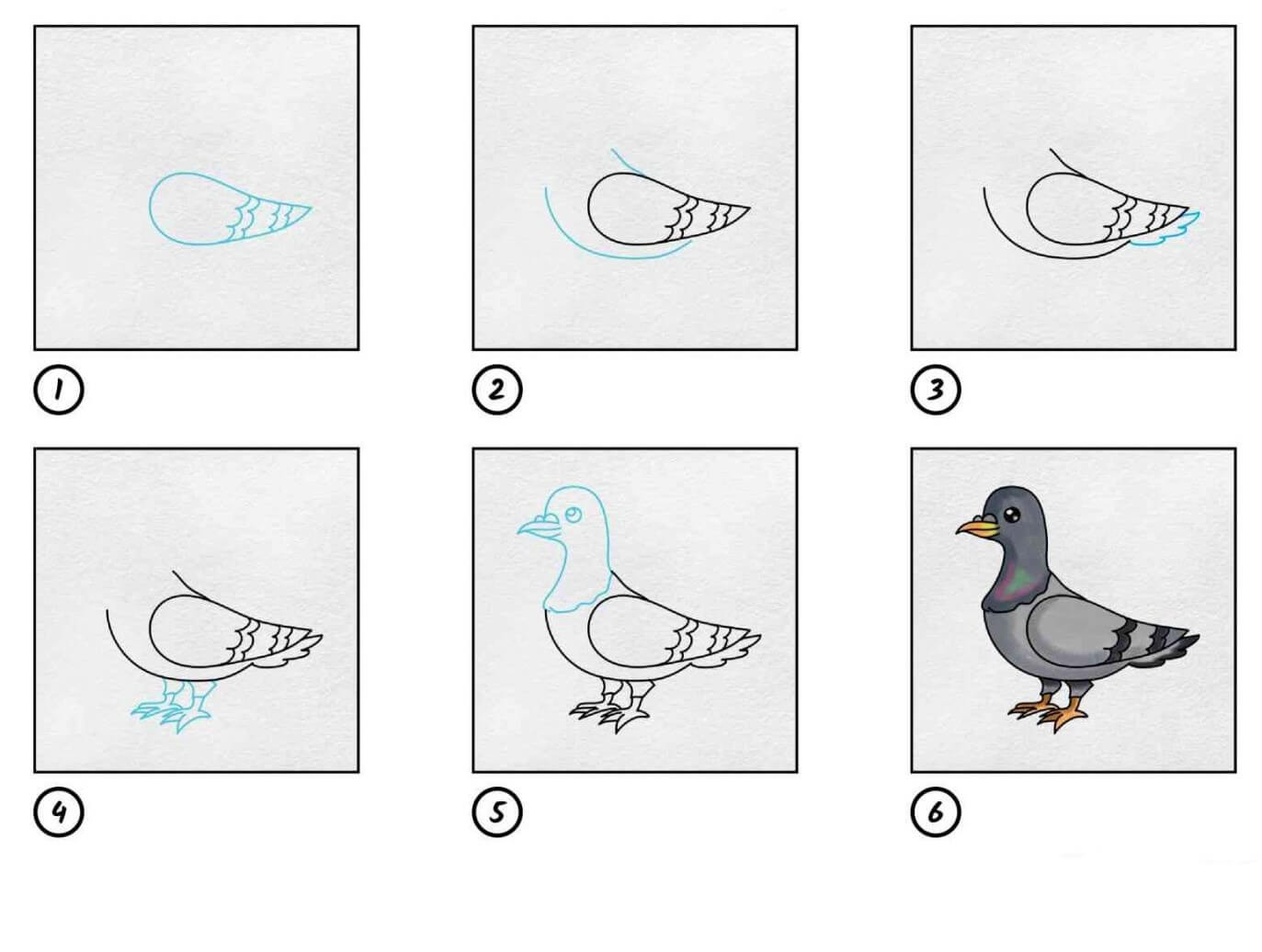 How to draw Blue dove 2