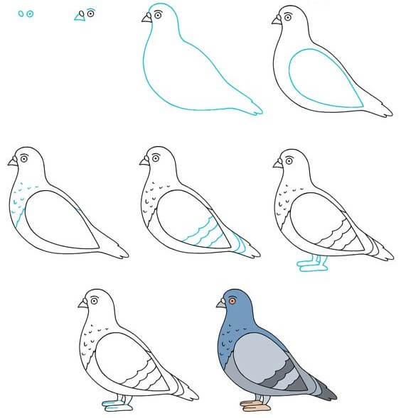How to draw Blue dove