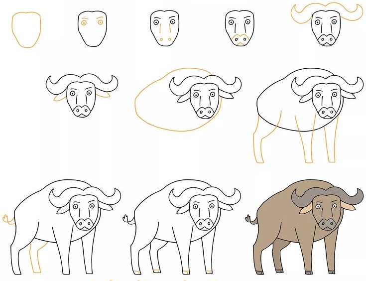Brown buffalo Drawing Ideas