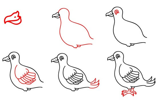 How to draw Cartoon dove