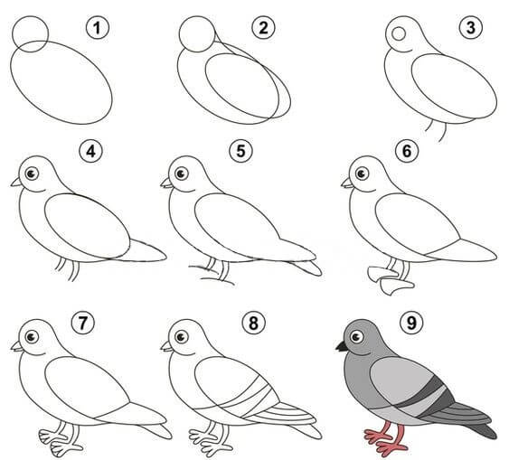 Cartoon pigeon Drawing Ideas