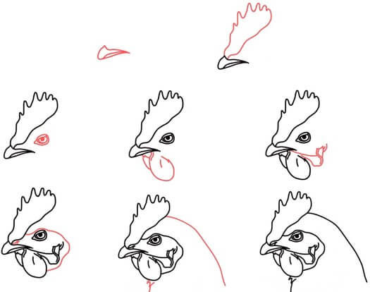 Chicken head Drawing Ideas