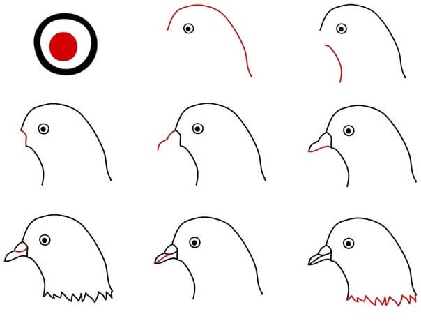 How to draw Dove face