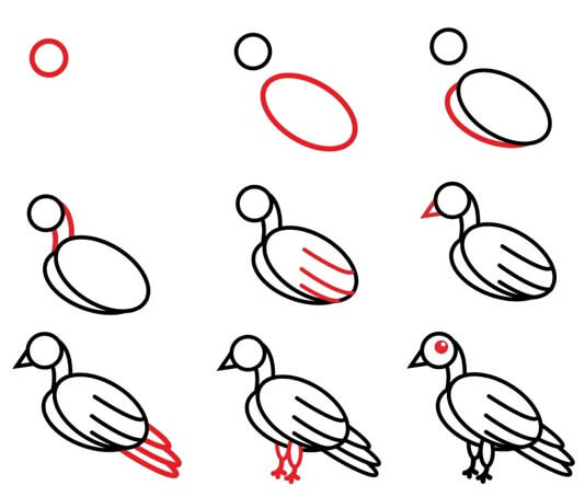 How to draw Dove for kids
