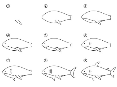 How to draw Fat shark