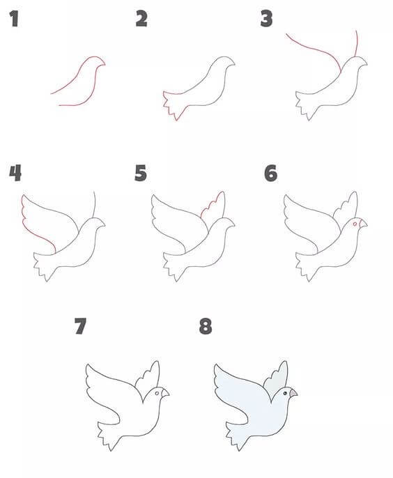 Flying dove Drawing Ideas