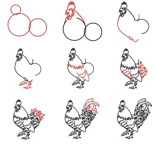 How to draw Rooster
