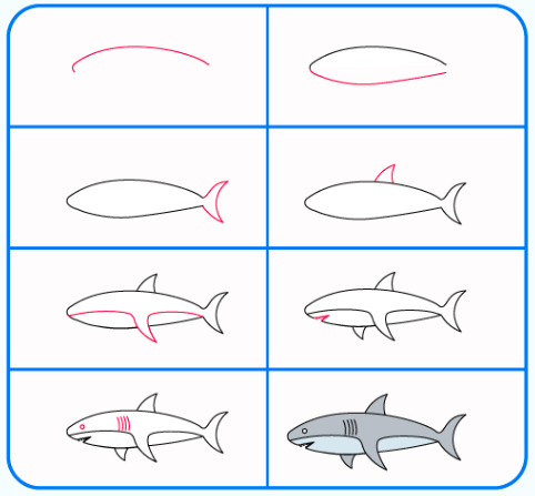Sand shark Drawing Ideas