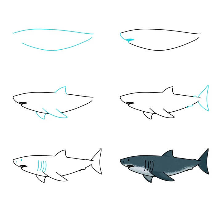 Shark idea (17) Drawing Ideas