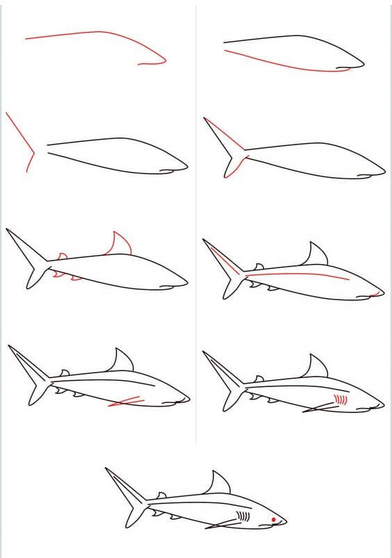 Shark idea (2) Drawing Ideas