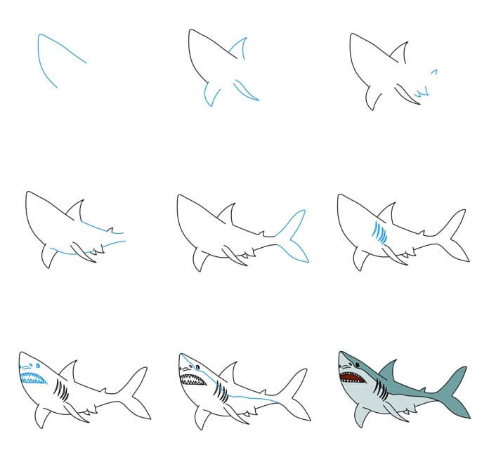 Shark idea (25) Drawing Ideas