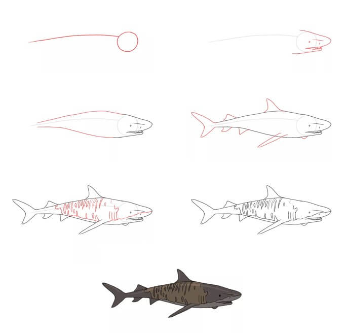 Shark idea (28) Drawing Ideas