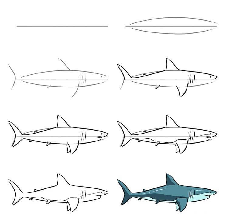 Shark idea (31) Drawing Ideas