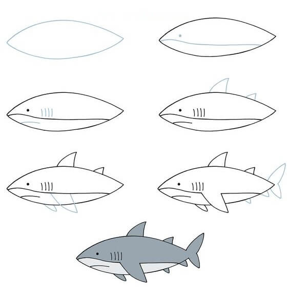 Shark idea (5) Drawing Ideas
