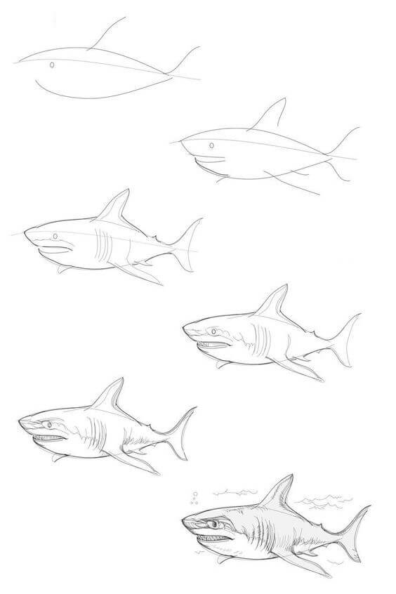 Shark idea (6) Drawing Ideas