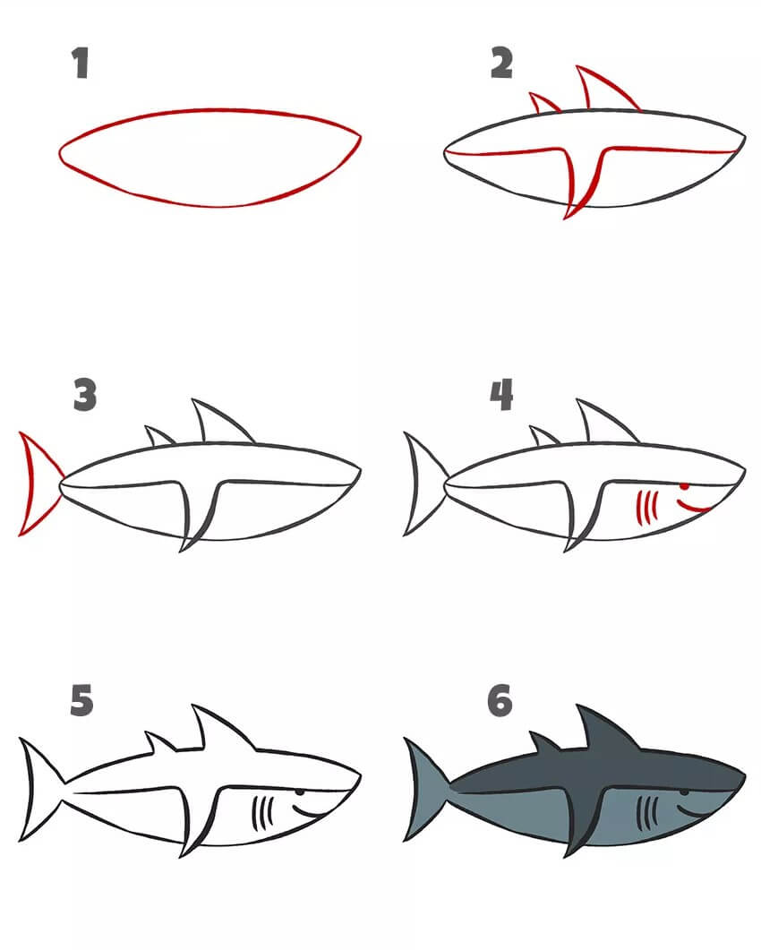 How to draw Shark mature
