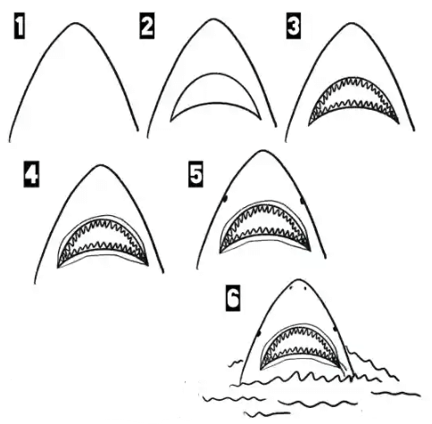 How to draw Shark’s jaw