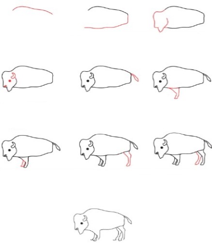 How to draw Simple buffalo 2