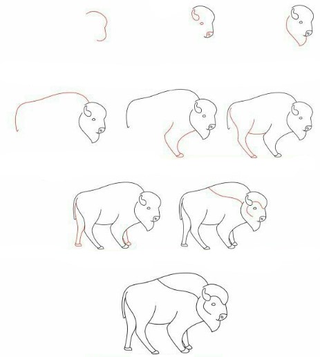 Simple buffalo Drawing Ideas