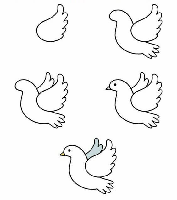 How to draw Simple pigeon 2