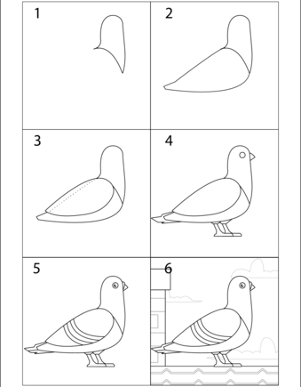 How to draw White doves