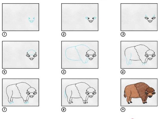How to draw Yellow buffalo