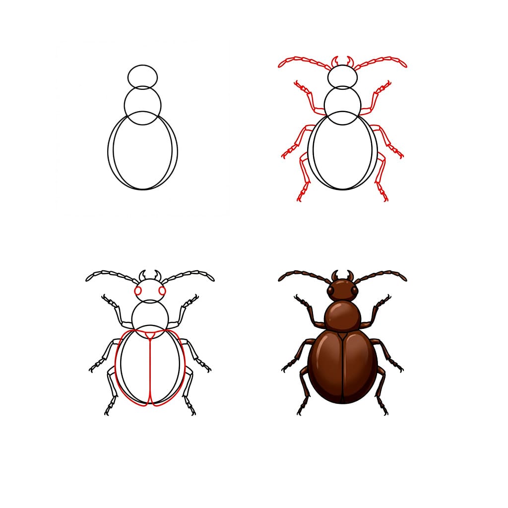 Amazing Beetle Drawing Ideas