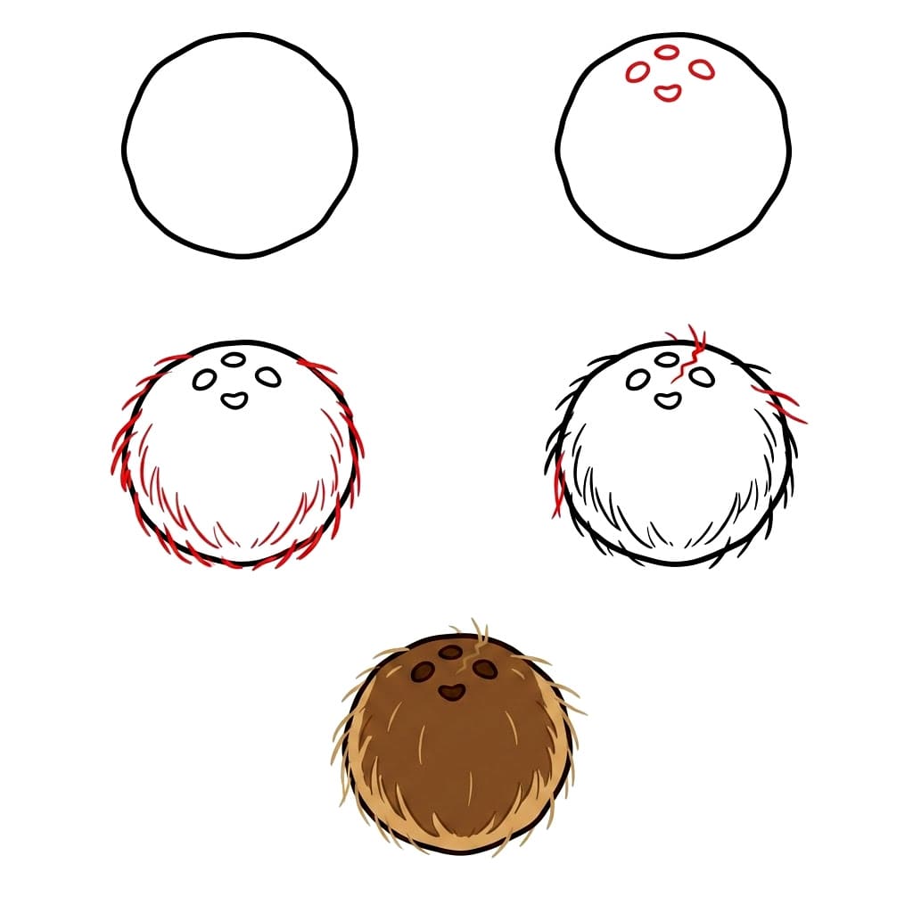 Big Coconut Drawing Ideas
